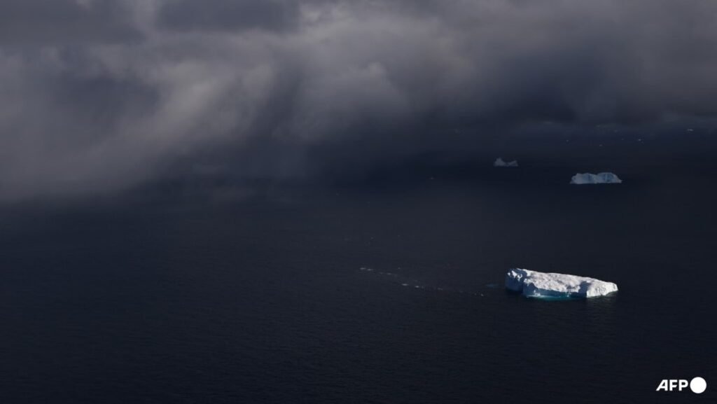 World’s oceans break June heat record: EU monitor