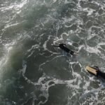 El Nino set to be strong, UN warns