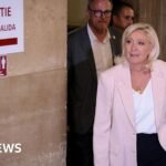 Marine Le Pen to run for French presidency and appeal conviction in top court