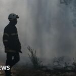 Gironde wildfires pick up as French region braces for new 40C heatwave