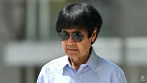Former air force chief fined for driving into maid who was pushing toddler in stroller