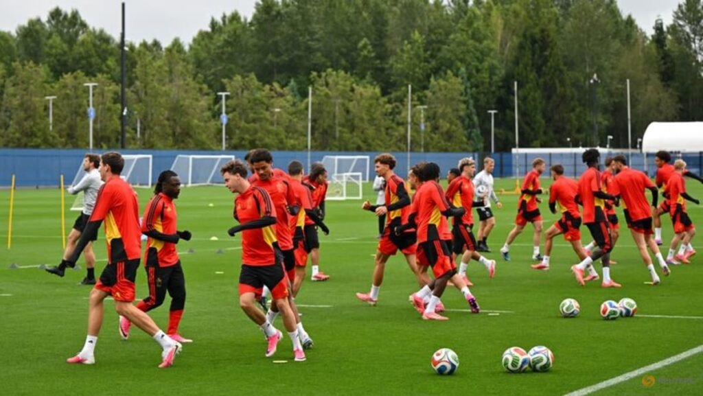 Belgium not taking anything for granted in Senegal last-32 clash