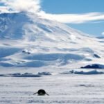 Here’s why the South Pole froze over before the North Pole