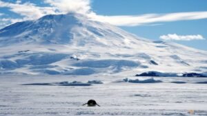 Here’s why the South Pole froze over before the North Pole