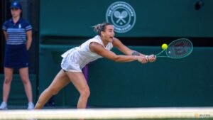 Strawberries yes, cream no: Sabalenka breaks with Wimbledon tradition