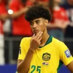 Ibrahimovic offers support to Australia’s Herrington after World Cup penalty heartbreak