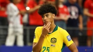 Ibrahimovic offers support to Australia’s Herrington after World Cup penalty heartbreak