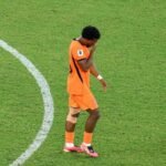 World Cup players facing growing pattern of racist abuse, FIFPRO warns