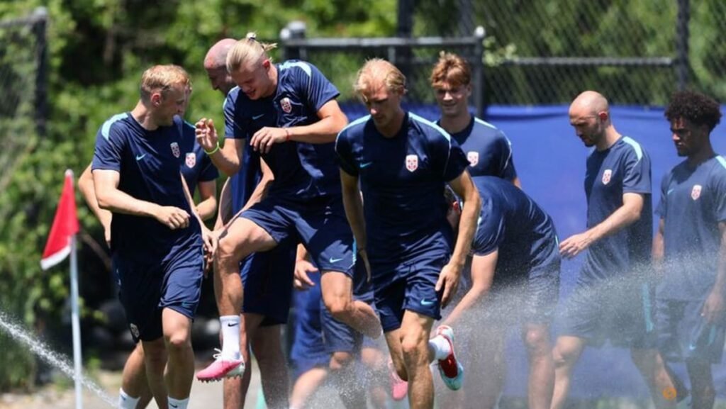 Norway must keep cool heads in World Cup clash with Brazil, says Solbakken