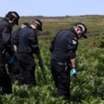 UK police release suspect held over murder of Ann Widdecombe