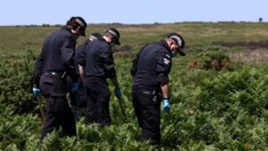 UK police release suspect held over murder of Ann Widdecombe