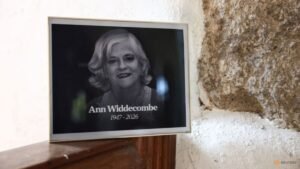 No evidence of political motive in murder of former UK minister Widdecombe: Police