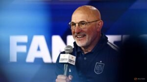 Spain coach De la Fuente hails world-class players