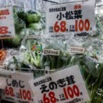 Japan cuts this year’s growth outlook as higher energy costs weigh