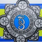 Monaghan: Driver arrested after police call bomb disposal unit