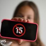 France approves social media ban for under-15s