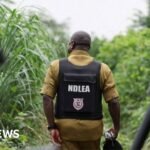 Nigeria drug trade: How Mexican cartels have outsourced meth labs