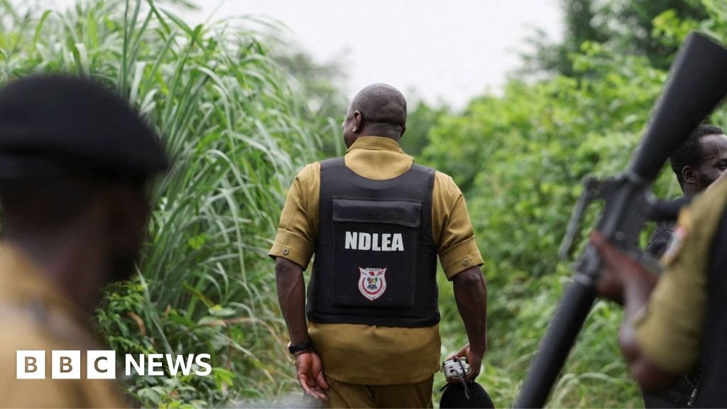 Nigeria drug trade: How Mexican cartels have outsourced meth labs