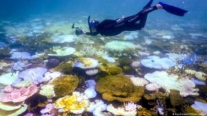 Great Barrier Reef again avoids ‘in danger’ label