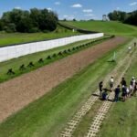 From death strip to nature haven and other green surprises