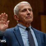 Fauci to face contempt vote after refusing to answer Covid questions in Congress