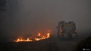 France, Spain race to contain ‘monster’ fires ahead of new heatwave