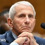 Anthony Fauci refuses to answer questions during US Senate hearing about Covid origins