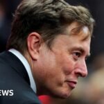 Musk takes ‘crusade’ to Europe with Armie Hammer film