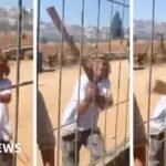 ‘Israeli settlers laid siege to our home’: Inside a Palestinian village under weekly attack