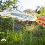 Hosepipe ban across Republic of Ireland but NI avoids same precaution