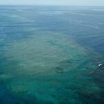Great Barrier Reef at risk of ‘collapse’, scientists warn