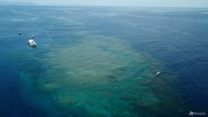 Great Barrier Reef at risk of ‘collapse’, scientists warn