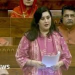 CJP: India’s ‘cockroach’ protest brings Gen Z slang to parliament