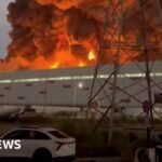 Wildberries: Russia’s businesses under strain from Ukraine’s attacks on retail warehouses