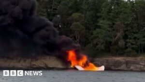 Watch: Passengers rescued safely after fiery seaplane crash