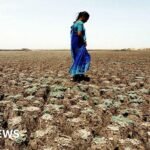 Farming worries after India records driest June in over a decade