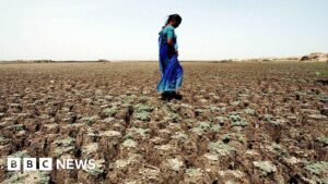 Farming worries after India records driest June in over a decade