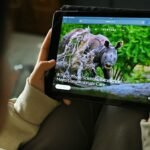 Indian tycoon’s giant Vantara zoo announces ‘reset’, rethinks imports