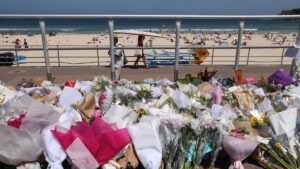 Australia’s capital to join gun buyback in response to Bondi Beach attack
