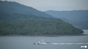 Two rescued after bulk carrier sinks off India
