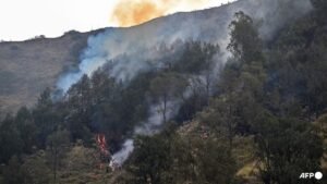 Prabowo orders coordinated measures against Indonesia wildfires