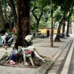Vietnam exonerates ex-MP for fatal crash after online outrage