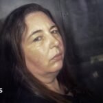 Erin Patterson: Australian court to hear mushroom killer’s appeal against murder conviction