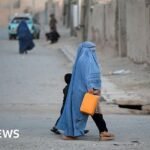 Afghan women tell the BBC their lives are unrecognisable after five years of Taliban rule