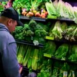 ‘Nobody wants it’: Lettuce prices see record-setting plunge as cyclospora spooks consumers