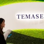 Singapore’s Temasek is on a hot streak in India as three bets surge after IPOs