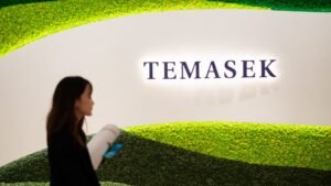 Singapore’s Temasek is on a hot streak in India as three bets surge after IPOs