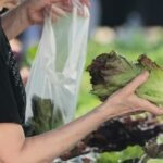 Cyclospora fears lead consumers to lose their appetite for salads