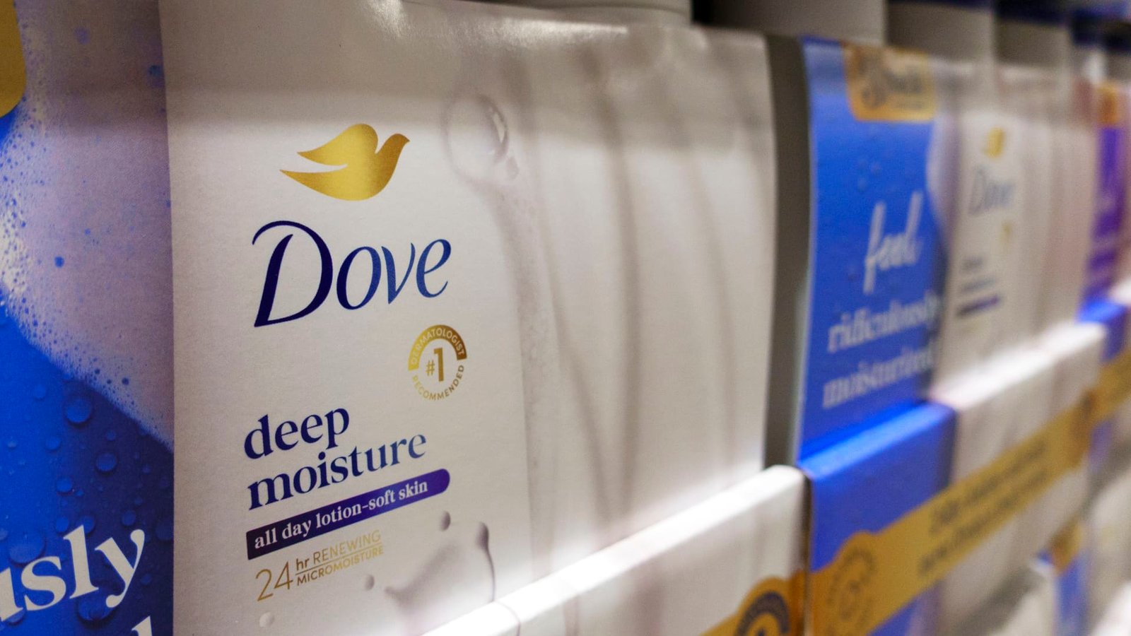 These ‘overlooked gems’ pay attractive income, a dividend specialist says