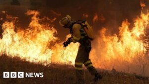 How Australia combines modern tech and Indigenous knowledge to fight fire
